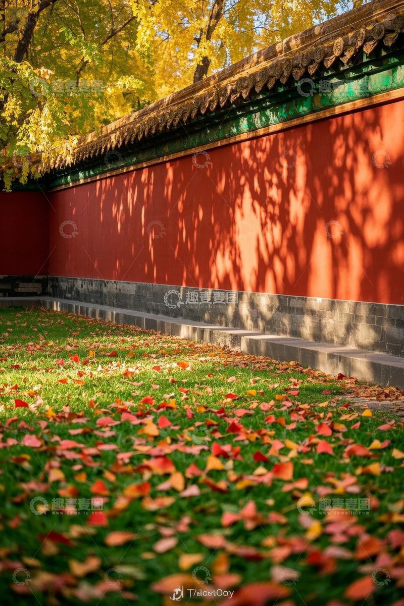 高清大图下载【趣麦麦图】红墙下秋日落叶景象