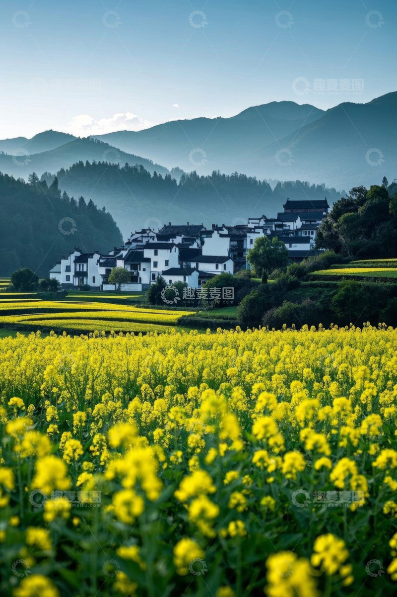 高清大图下载【趣麦麦图】婺源油菜花田与徽派建筑风景