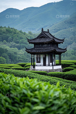茶园中的中式古亭