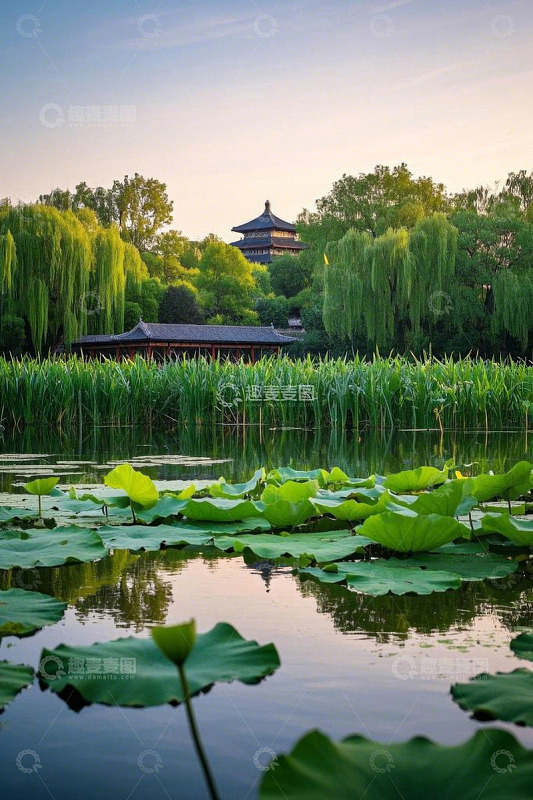 湖畔荷花与古典建筑景观