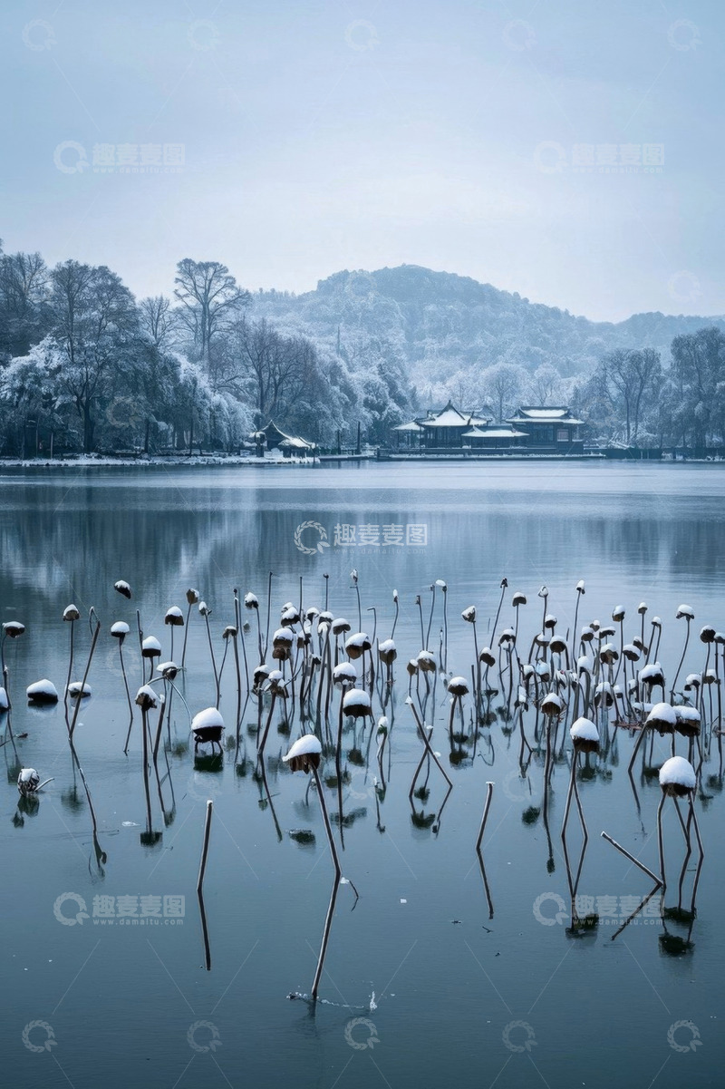 高清大图下载【趣麦麦图】西湖雪景湖面残荷景观