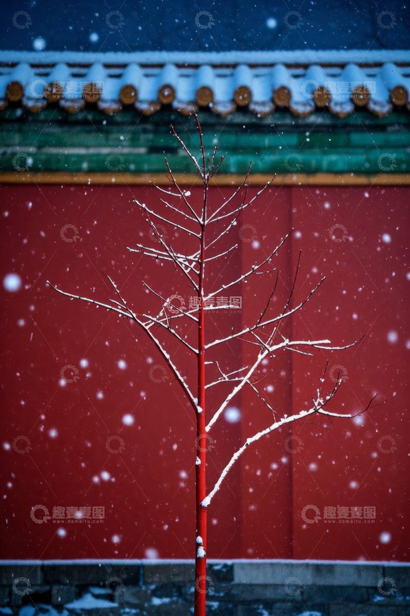 高清大图下载【趣麦麦图】红墙雪景下的光秃红枝