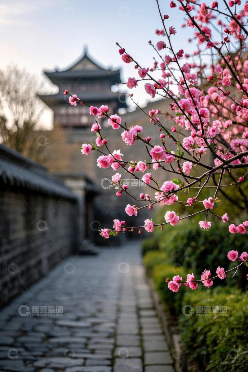 高清大图下载【趣麦麦图】古建筑旁盛开的粉色花枝