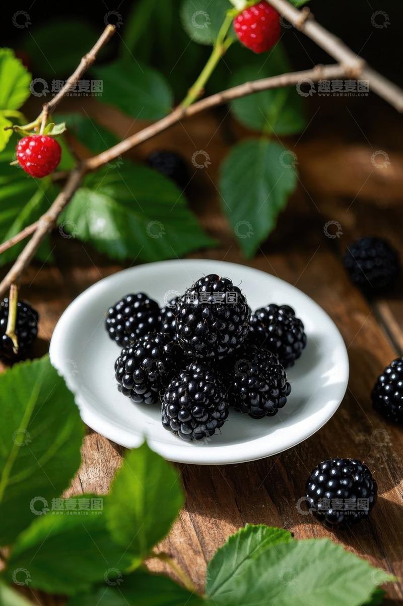 高清大图下载【趣麦麦图】木桌上白盘内的黑莓静物