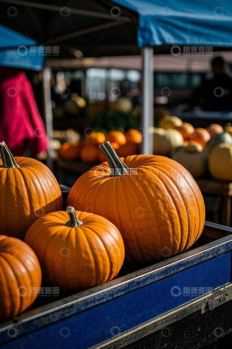 高清大图下载【趣麦麦图】市场摊位上的南瓜