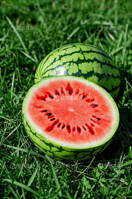 草地上切开的新鲜西瓜