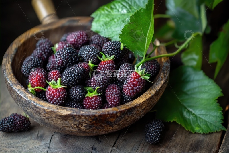 高清大图下载【趣麦麦图】一碗新鲜的桑葚