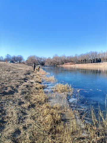 冬日河岸风光摄影
