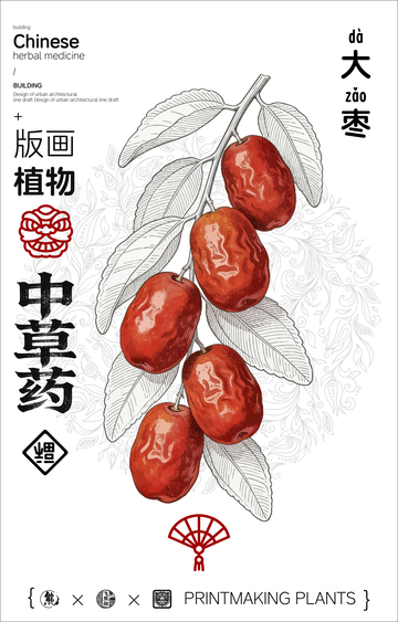 大枣红枣中草药线稿版画海报