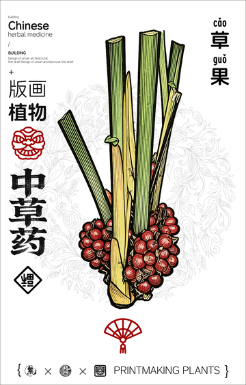 草果中草药线稿版画海报