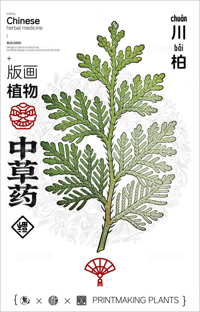 源文件下载【趣麦麦图】川柏中草药线稿版画海报
