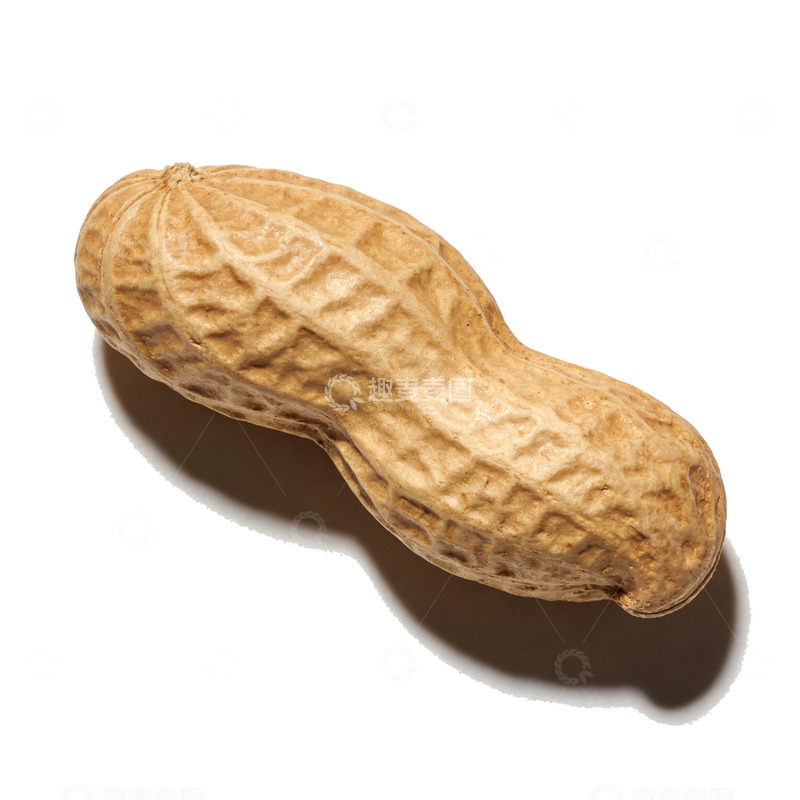 高清大图下载【趣麦麦图】一颗花生实拍