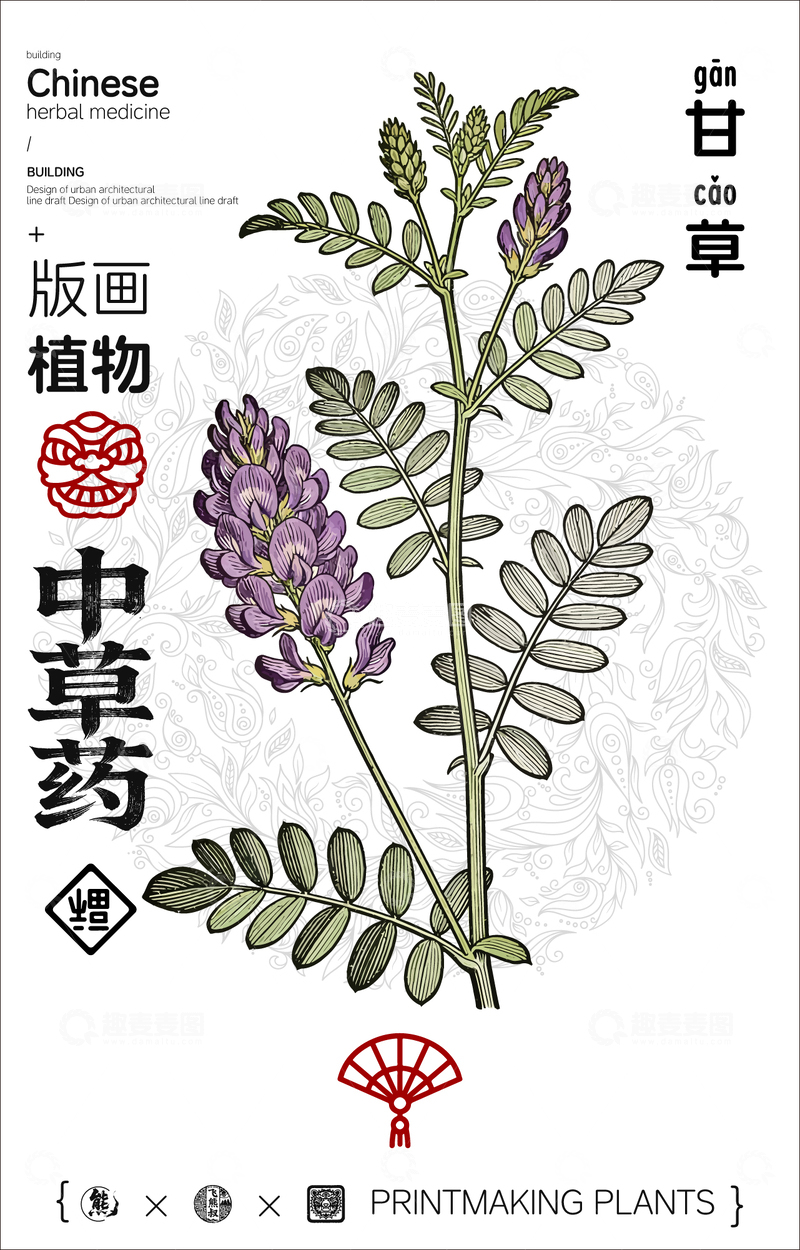 源文件下载【趣麦麦图】甘草中草药线稿版画线描海报