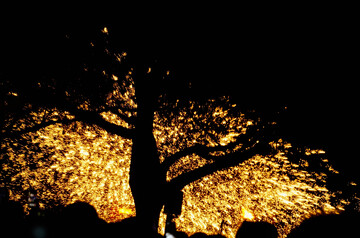 打铁花表演夜空火花飞溅火花树剪影