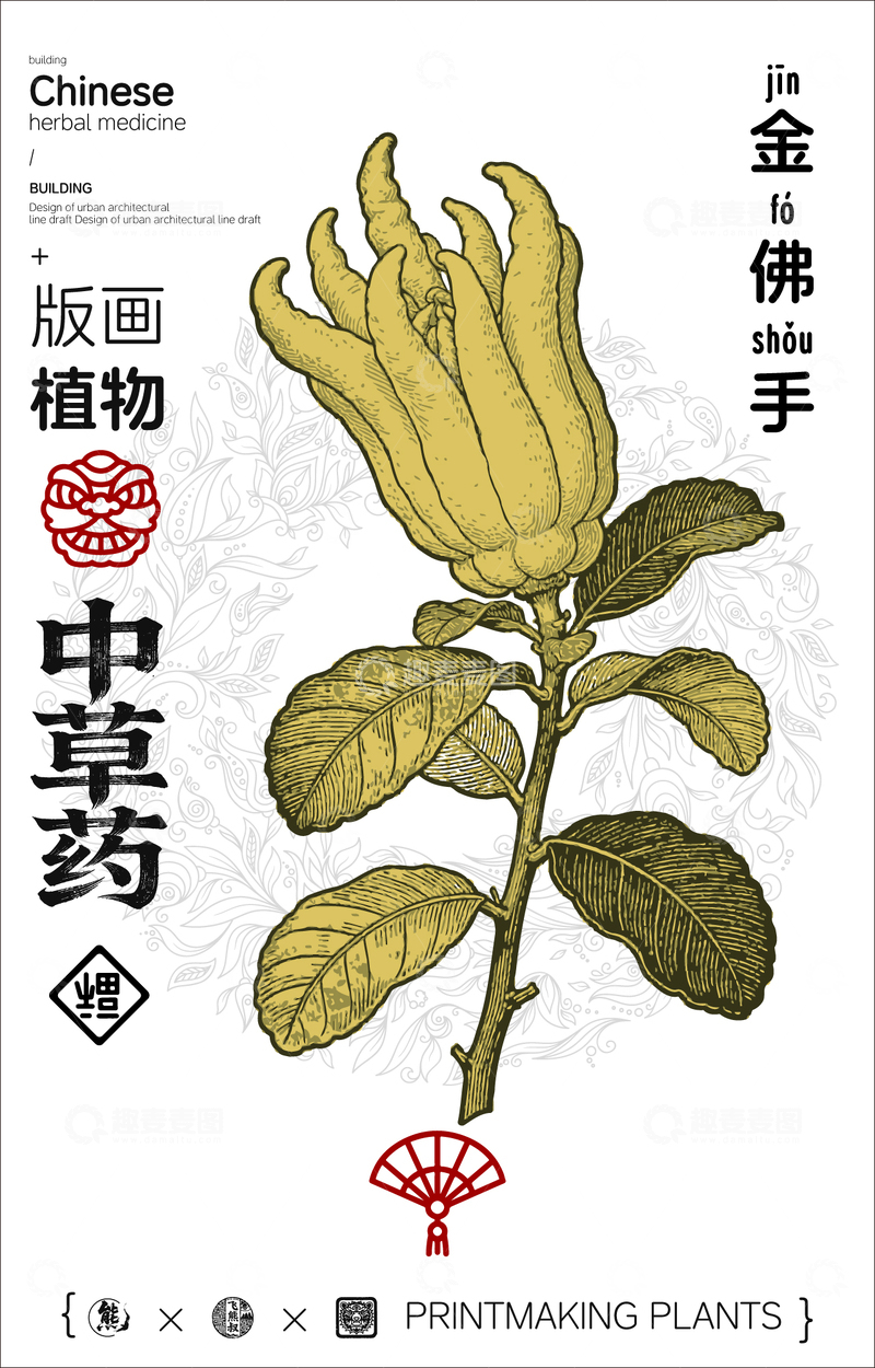 源文件下载【趣麦麦图】金佛手中草药线稿版画海报