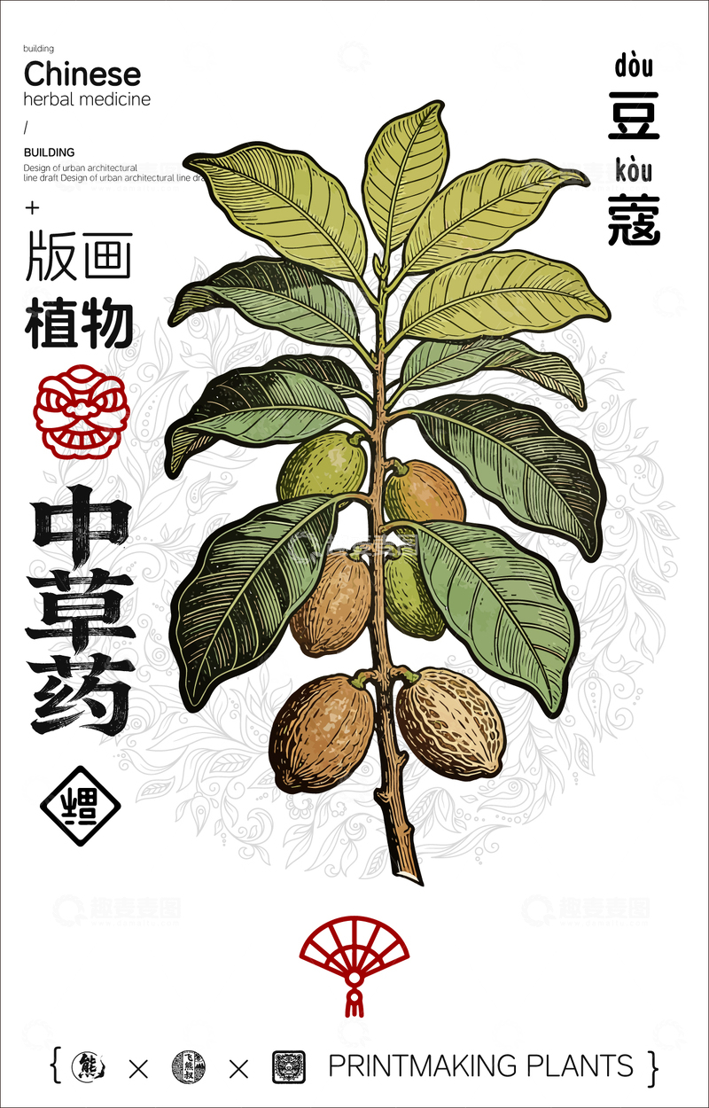 源文件下载【趣麦麦图】豆蔻中草药线稿版画海报