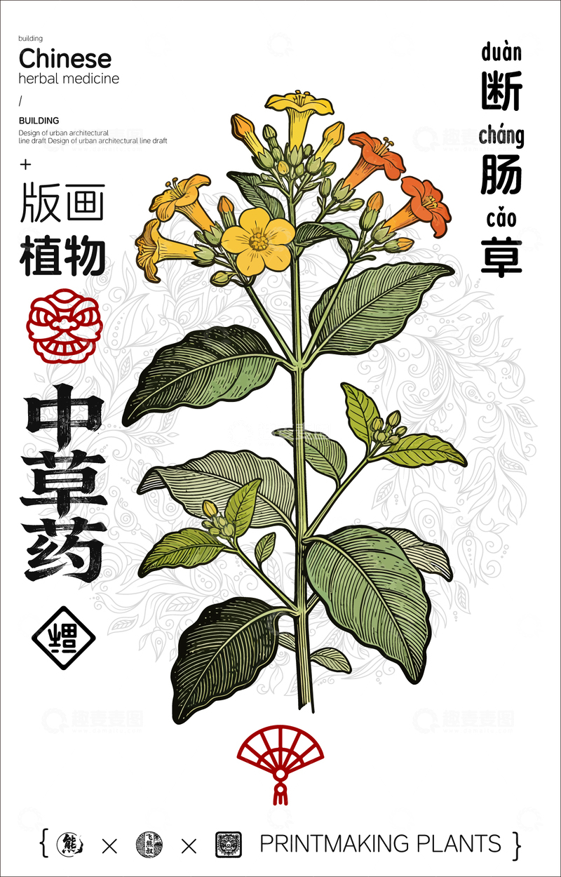 源文件下载【趣麦麦图】-断肠草中草药线稿版画海报