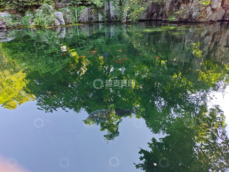 高清大图下载【趣麦麦图】静谧池塘倒影美景