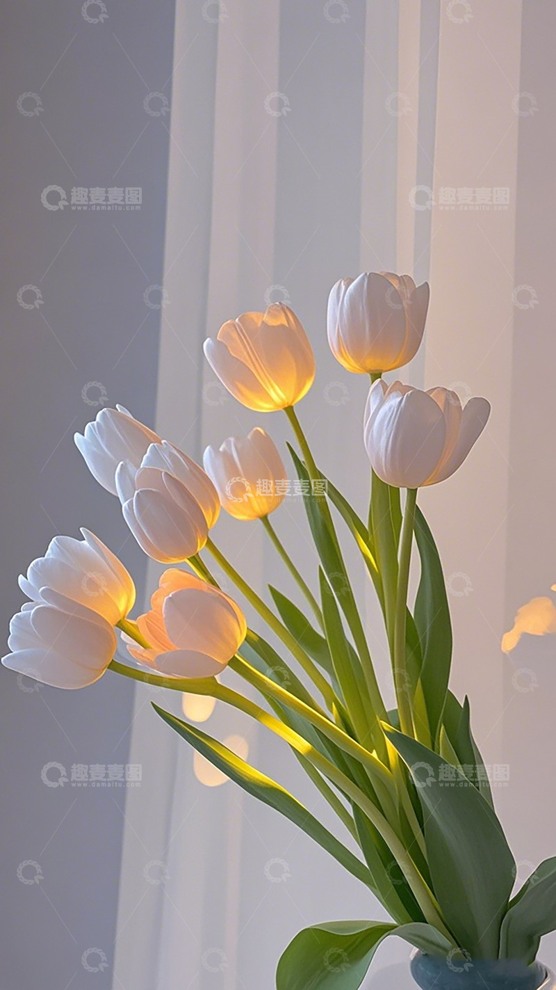 高清大图下载【趣麦麦图】郁金香光影艺术