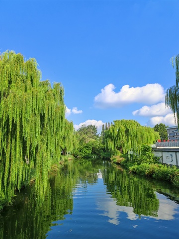 柳岸河畔晴空美景