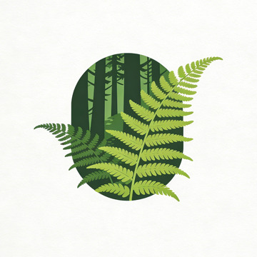 森系蕨类森林插画