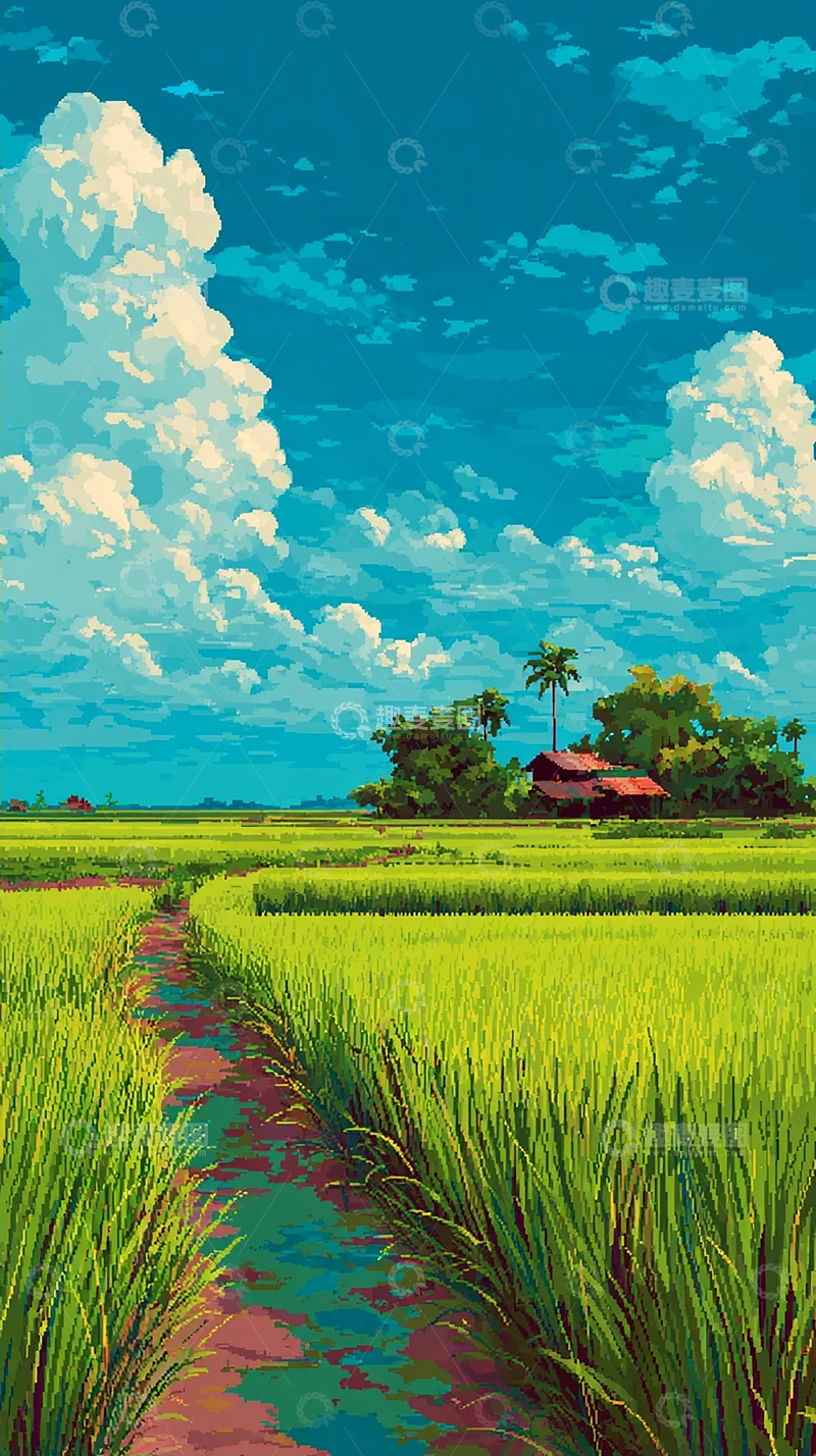 高清大图下载【趣麦麦图】绿色稻田与蓝天映衬