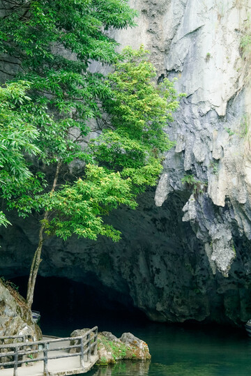 岩壁绿树洞穴水景