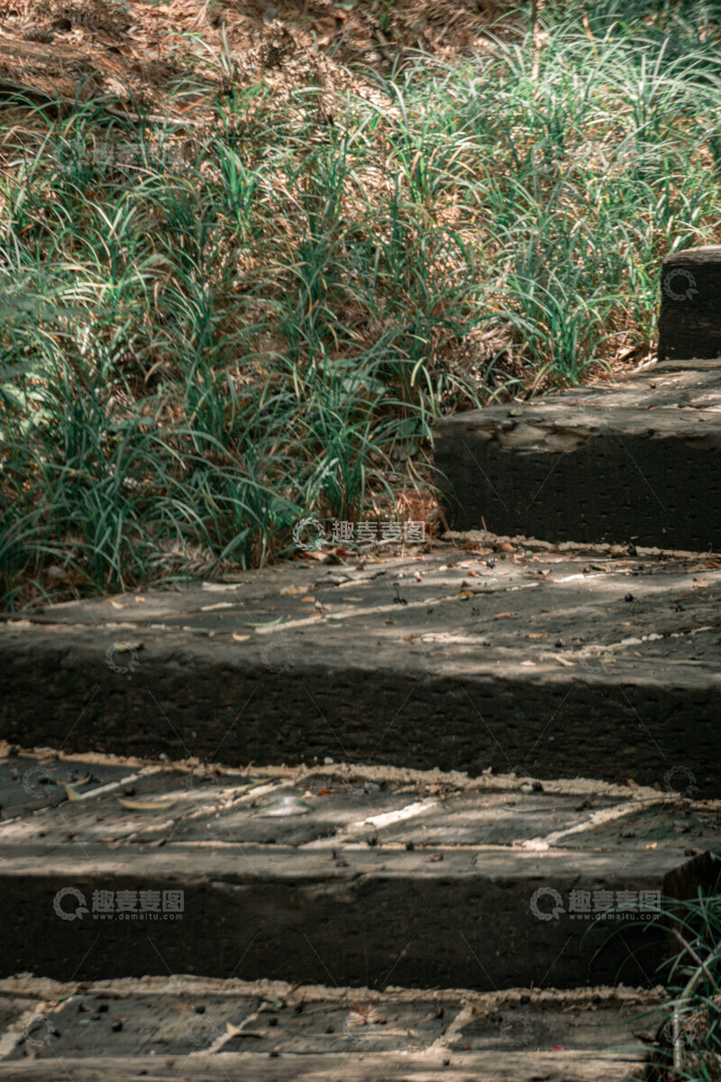 高清大图下载【趣麦麦图】古朴石阶野草风光