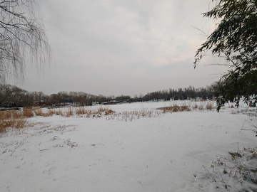 雪地冬景自然景观摄影图片