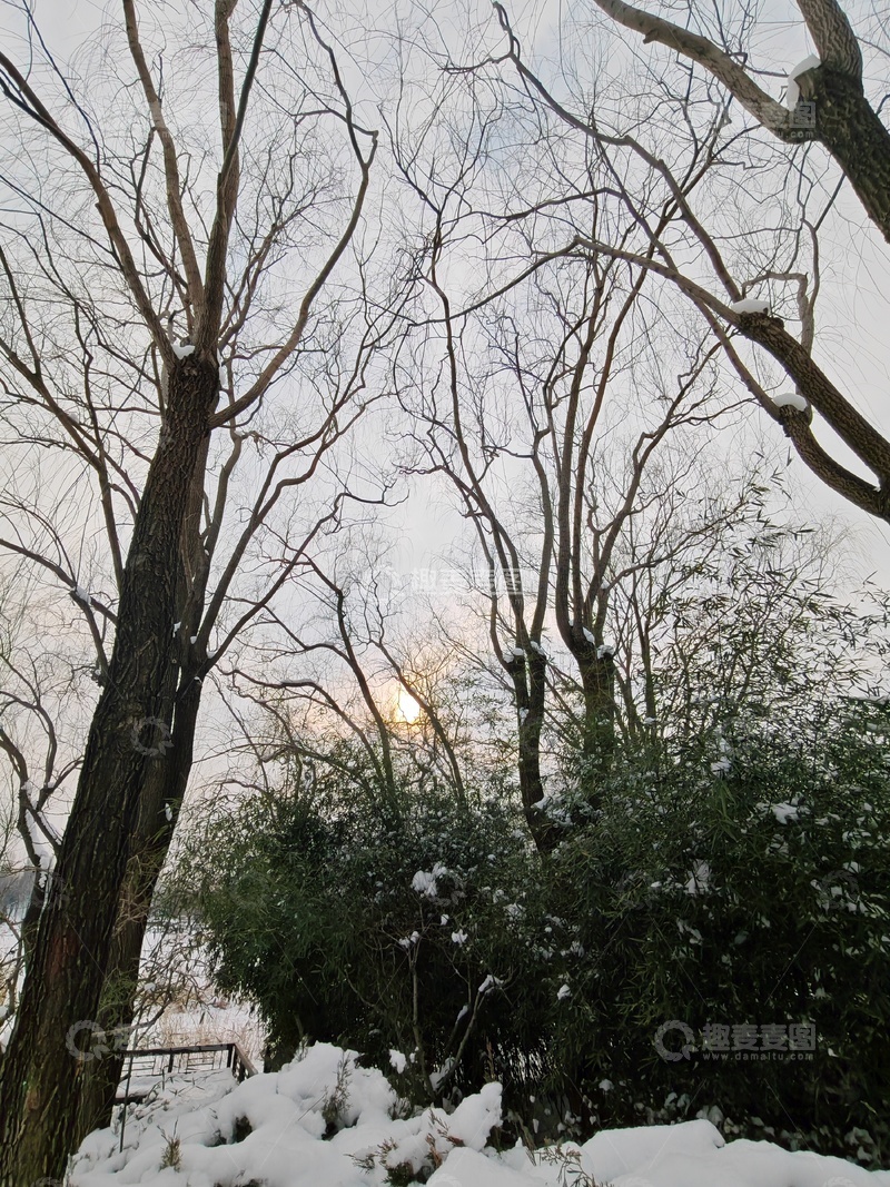 高清大图下载【趣麦麦图】冬日雪景树木风景摄影