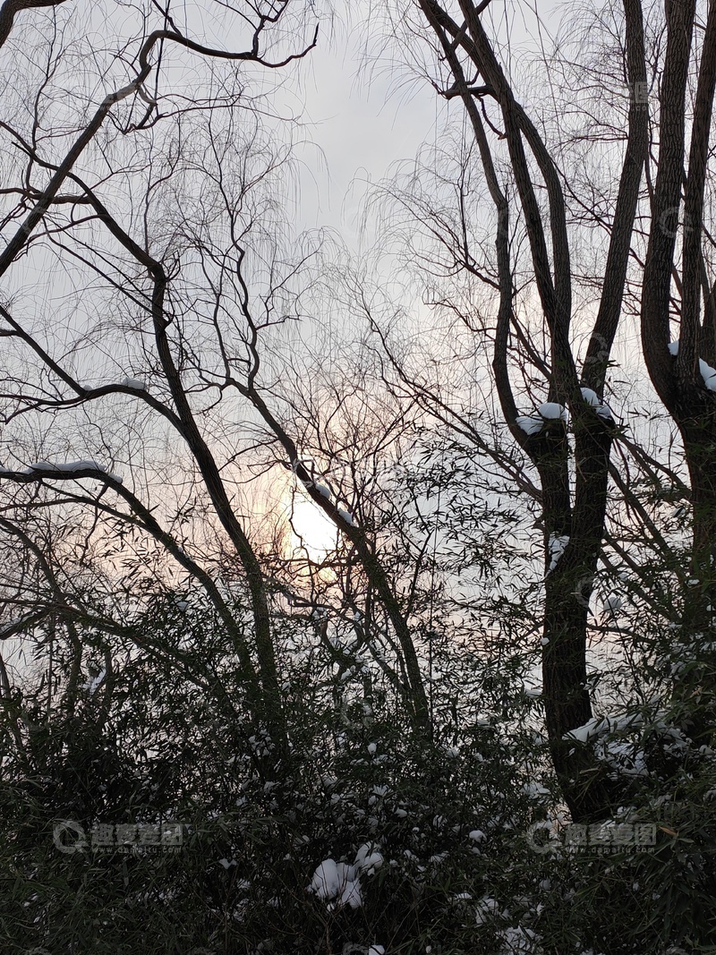 高清大图下载【趣麦麦图】冬日树林雪景