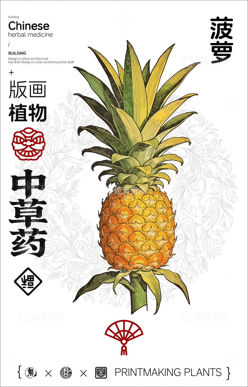 源文件下载【趣麦麦图】菠萝中草药植物线稿版画线稿海报