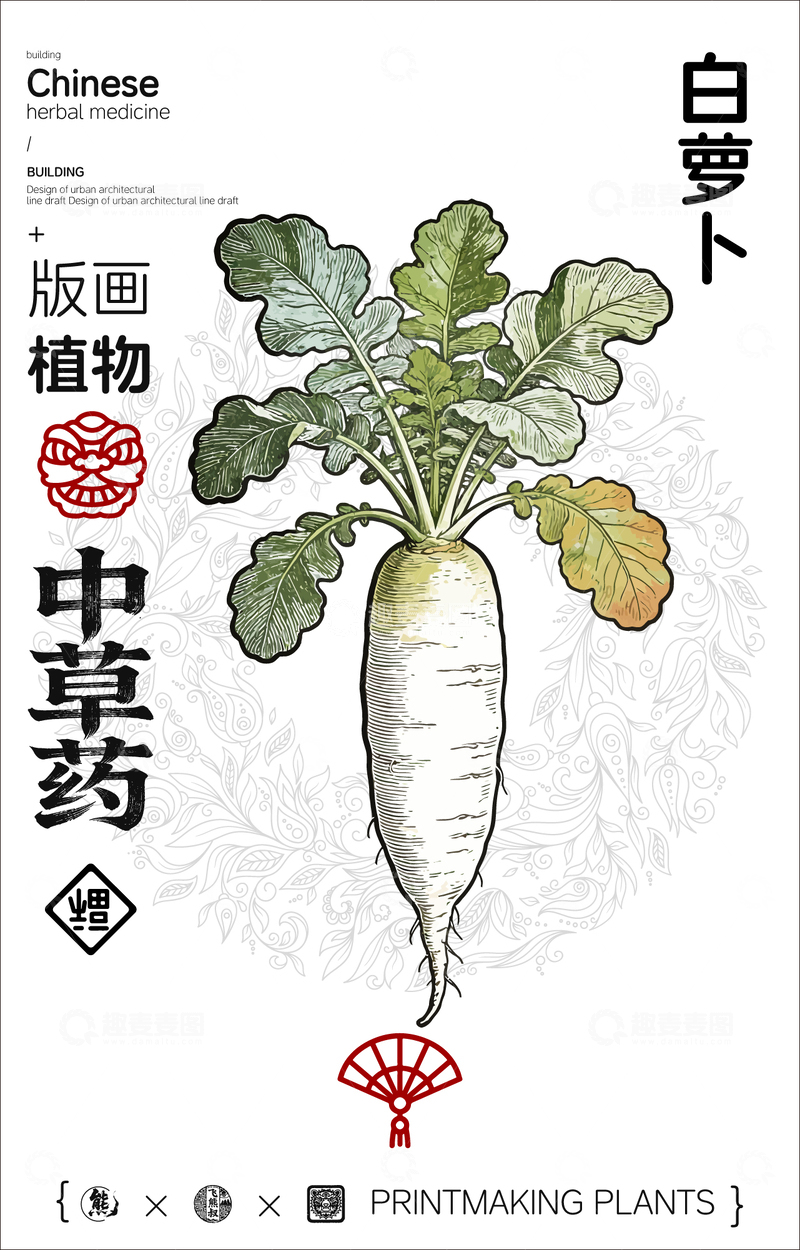 源文件下载【趣麦麦图】白萝卜中草药植物线稿版画线稿海报
