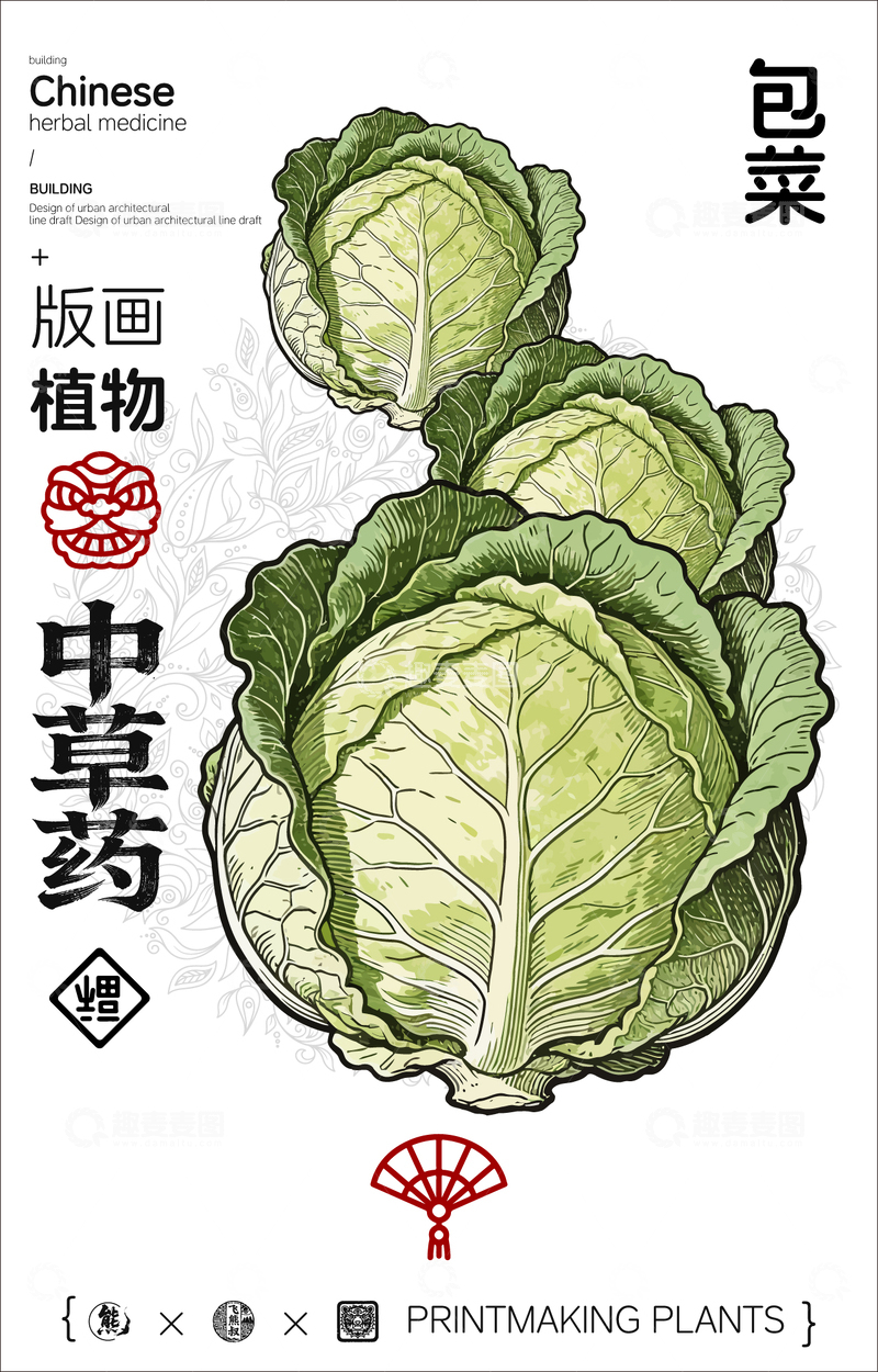 源文件下载【趣麦麦图】包菜中草药植物线稿版画线稿海报