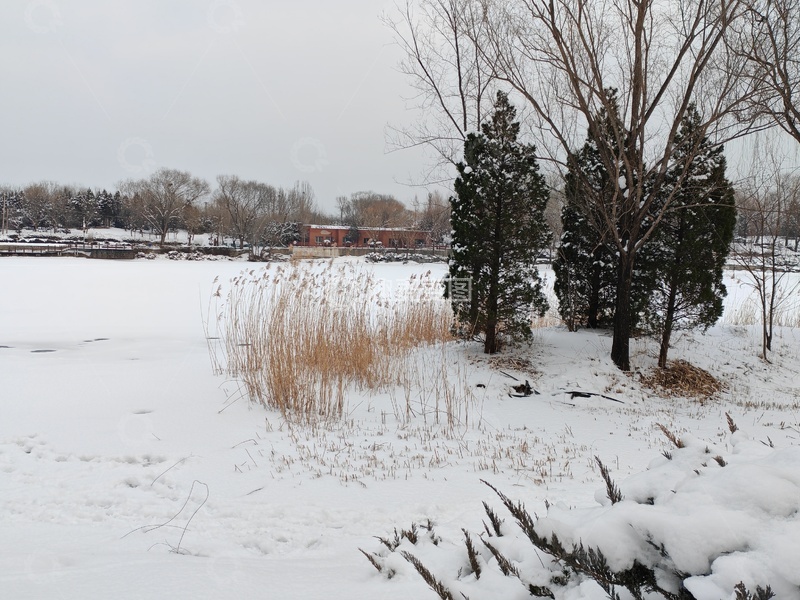 高清大图下载【趣麦麦图】冬日雪景自然风光摄影
