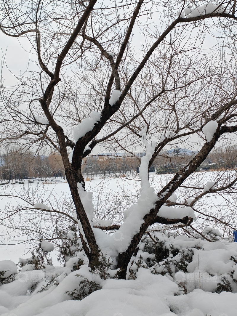 高清大图下载【趣麦麦图】冬景雪树湖泊