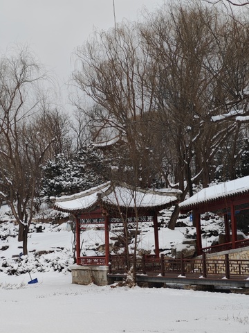 雪中美景传统亭阁