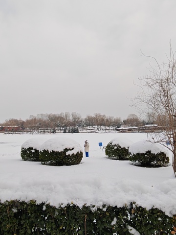 冬日雪景园林景观