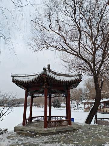 雪中小亭传统景