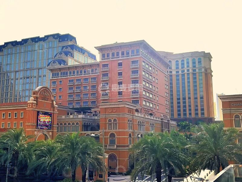 高清大图下载【趣麦麦图】城市高楼热带植物景观