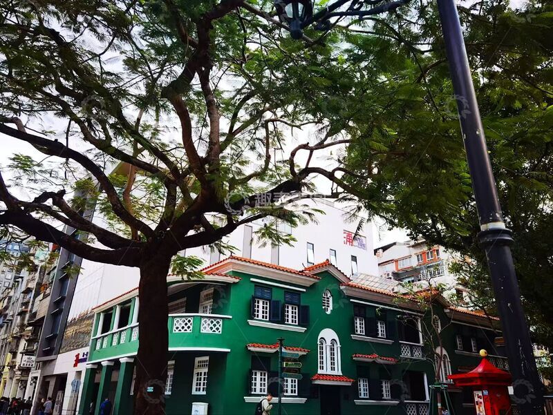 高清大图下载【趣麦麦图】绿建筑街景树影城市风光