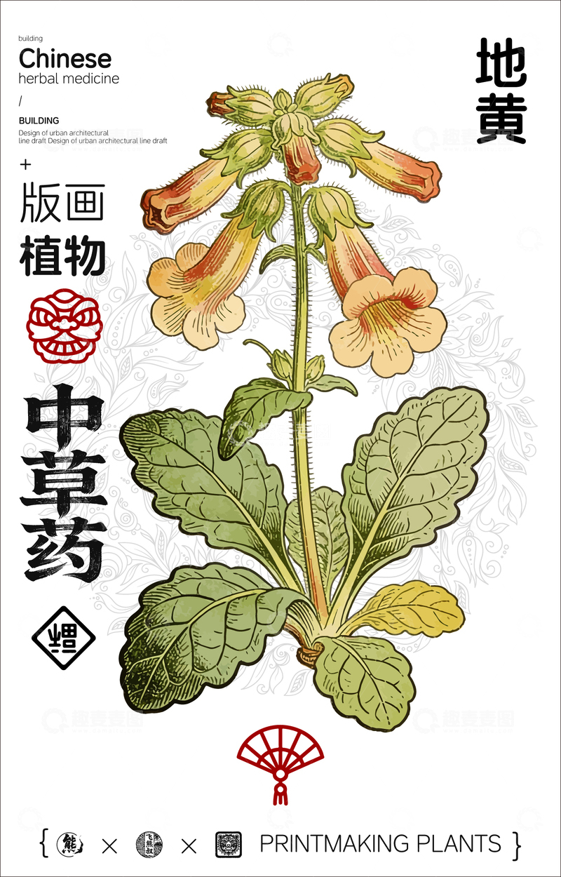 源文件下载【趣麦麦图】地黄中草药植物线稿版画线稿海报