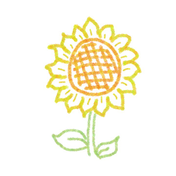 粉笔画卡通涂鸦风格小花葵花向日葵