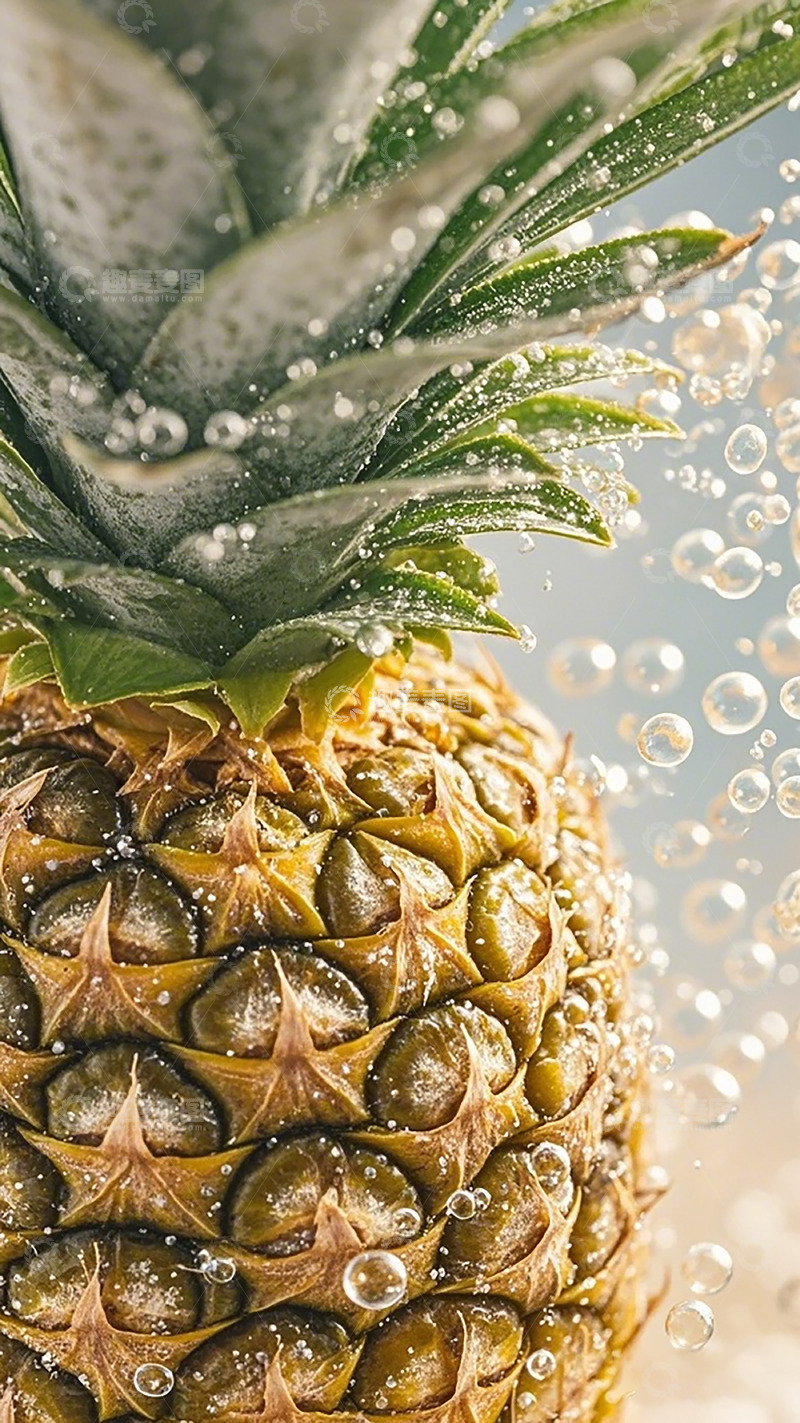 高清大图下载【趣麦麦图】清新菠萝水珠特写摄影