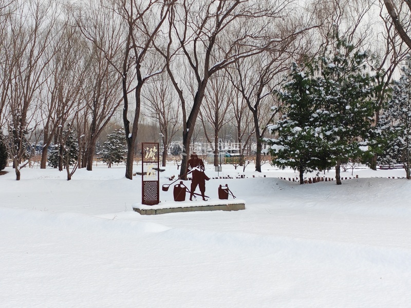 高清大图下载【趣麦麦图】雪地公园冬景摄影图片