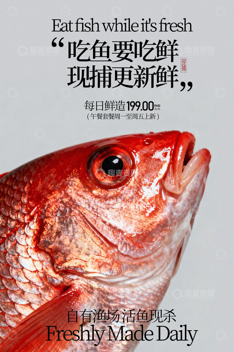 源文件下载【趣麦麦图】新鲜活鱼每日鲜造宣传海报