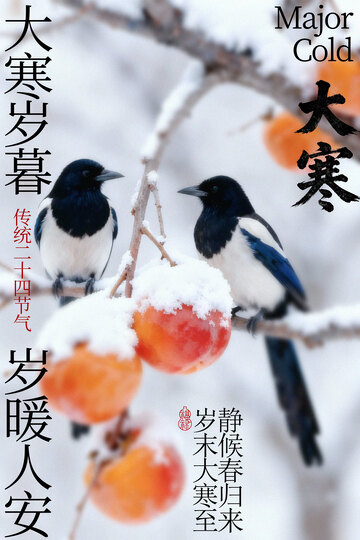 寒枝双鹊伴秋柿大寒海报