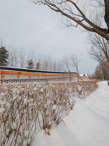 冬日雪景桥梁风光