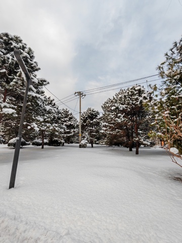 冬日雪景街道风光摄影