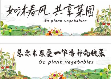 共享菜园 种菜 田园 体验 